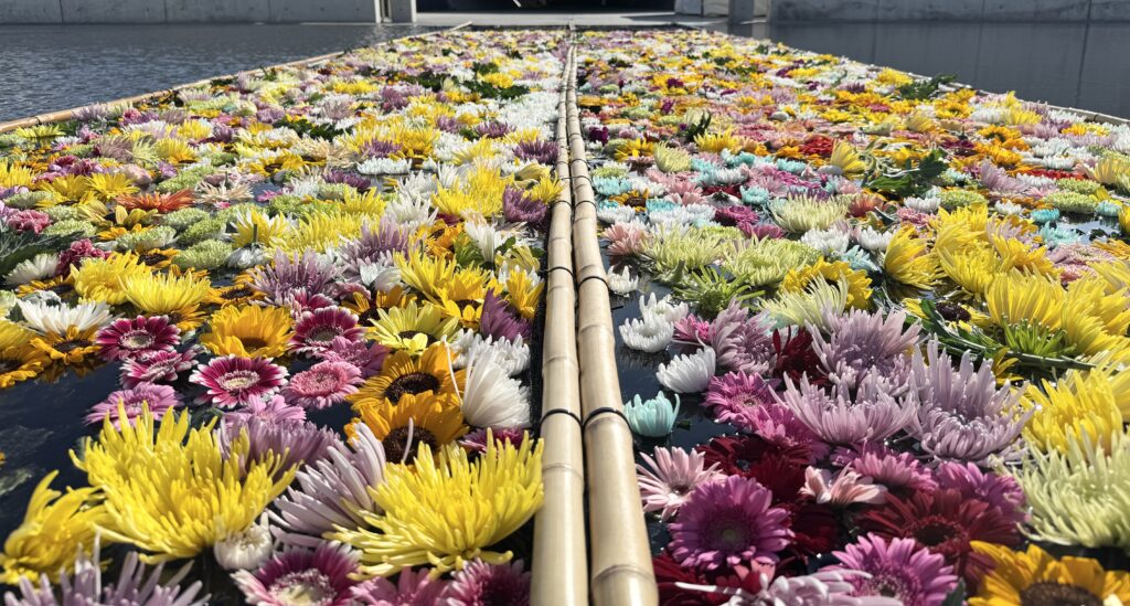 水池に浮かべられた色とりどりの花